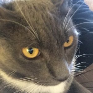 Meet your Posher, Carrie